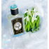 30 ml Остаток во флаконе Zoologist Perfumes Snowy Owl